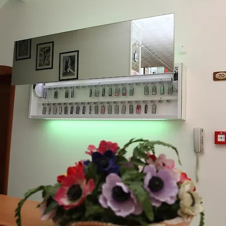 帕里吉酒店 3* 里米尼